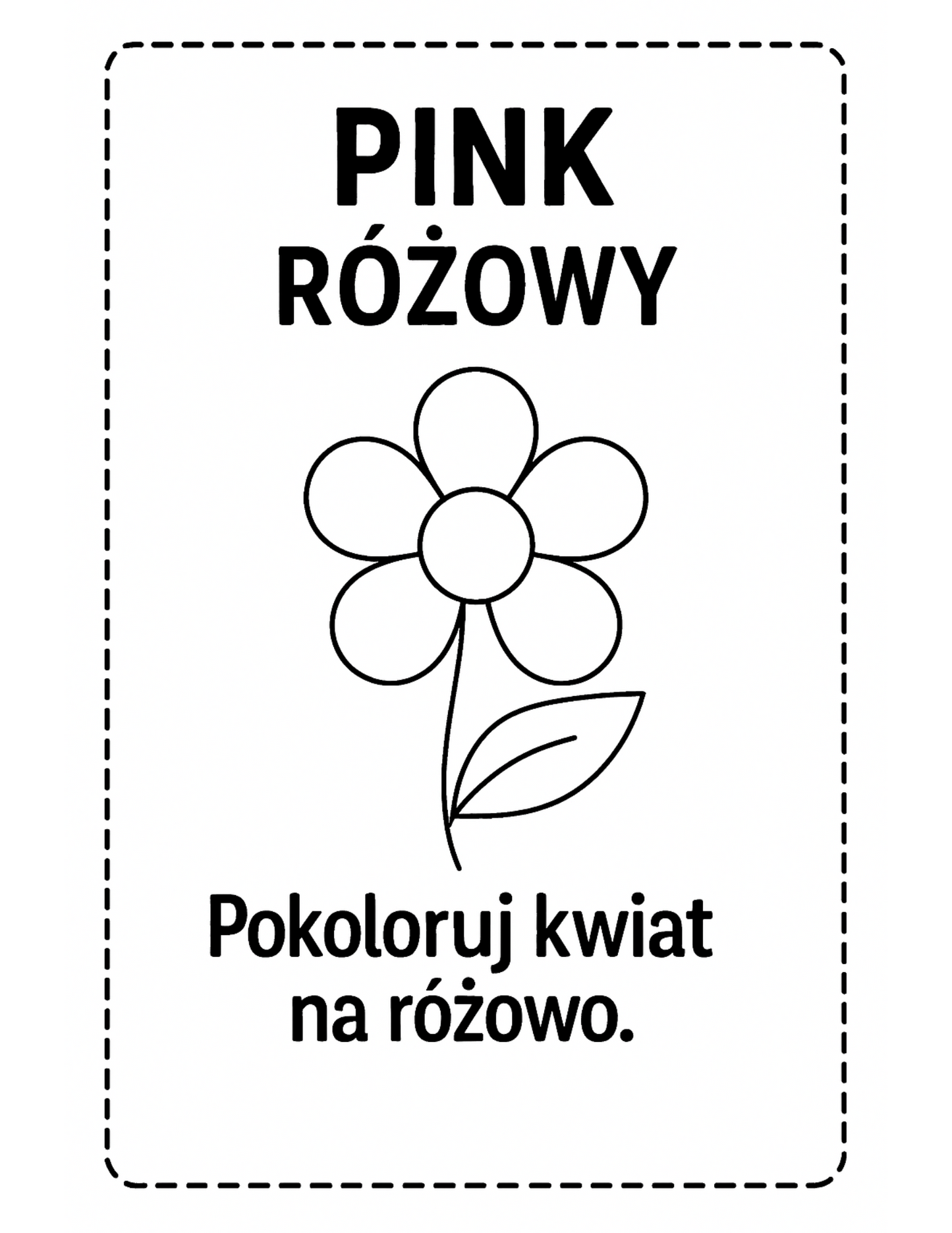 Zestaw Edukacyjny „Liczby i Kolory” + Kreatywne Zwierzątka – Nauka i Zabawa dla Dzieci